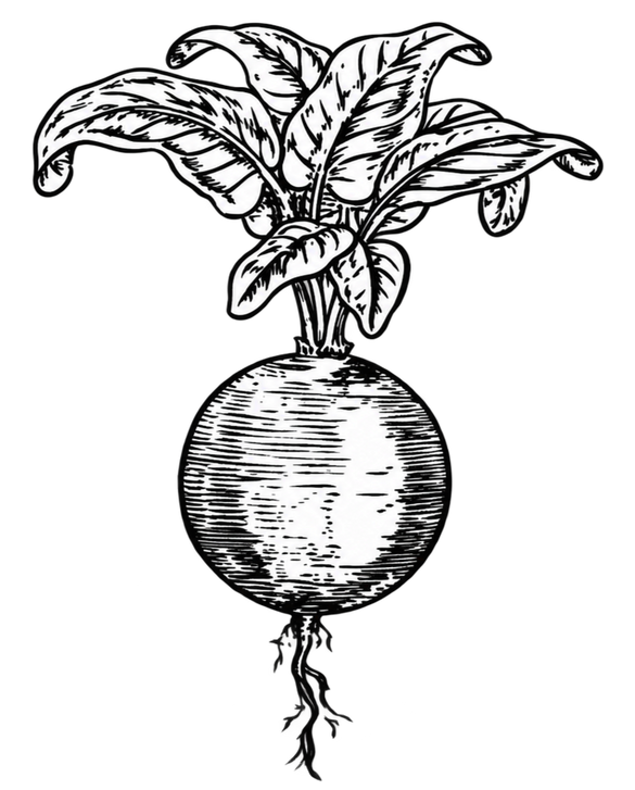 Logo de Béa M. Productions